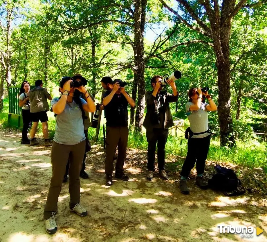 Observación de aves
