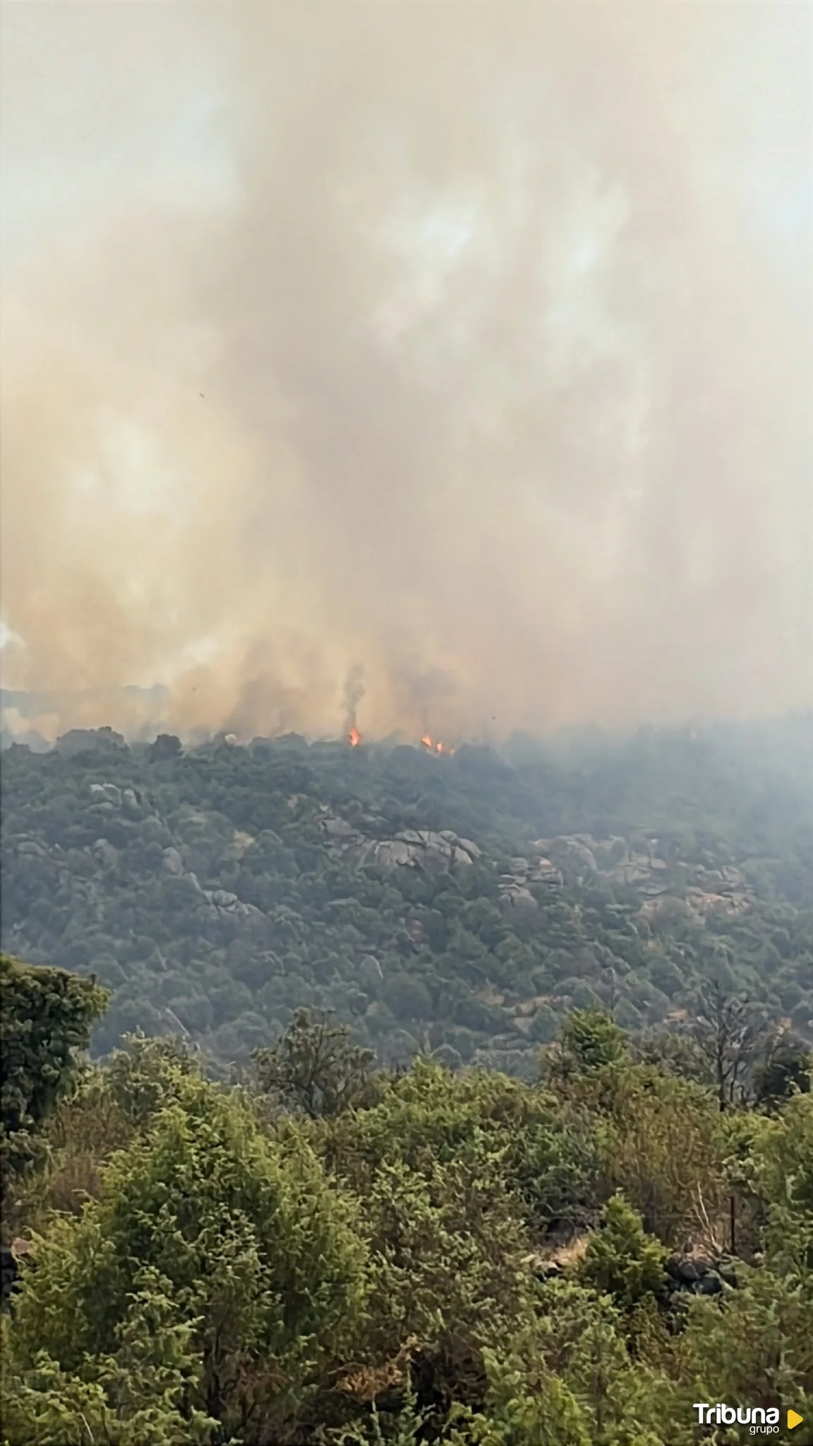 Incendio forestal en el Barraco