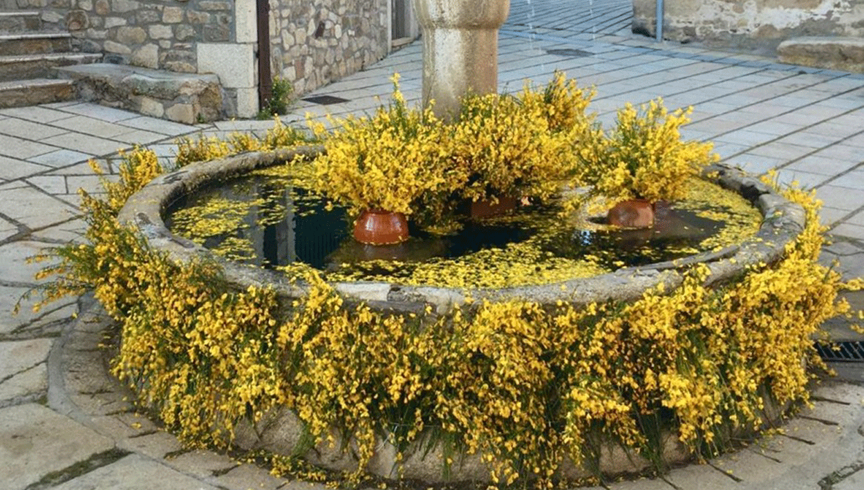 Jornada central del Festival Gredos en Flor en Cepeda la Mora