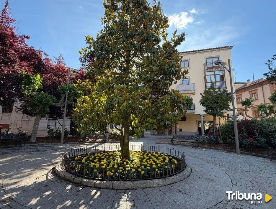 Plantación de flores en Ávila