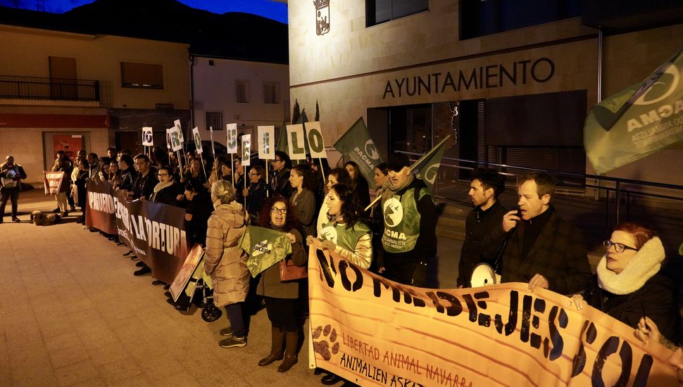 Declarada ilegal la ordenanza municipal que regula el Toro Jubilo en Medinaceli