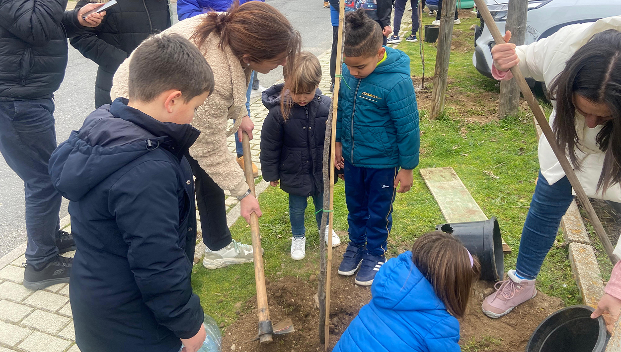 Plantación de cerca de un centenar de árboles en la capital