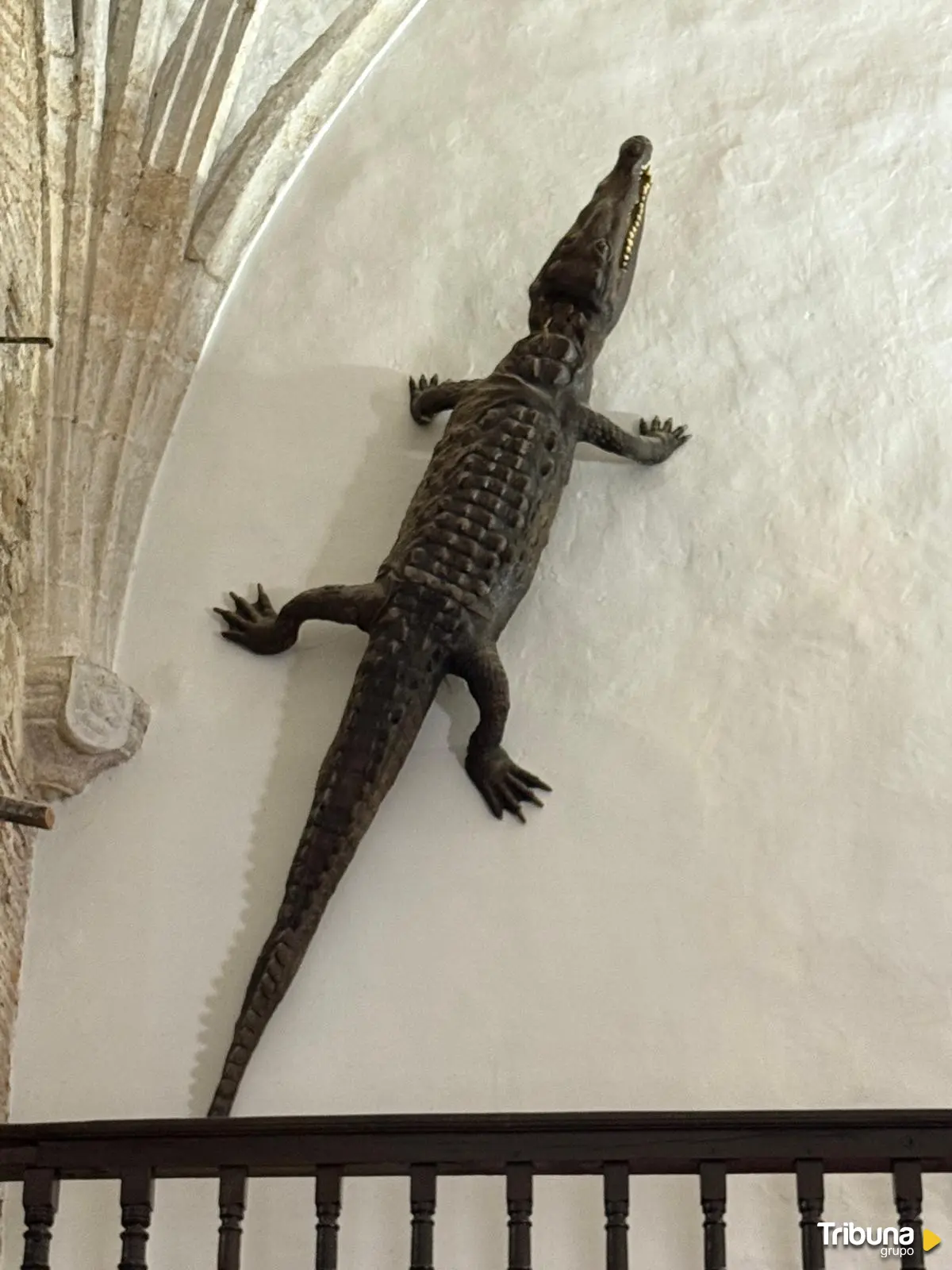 Fotografías: Gabriela Torregrosa