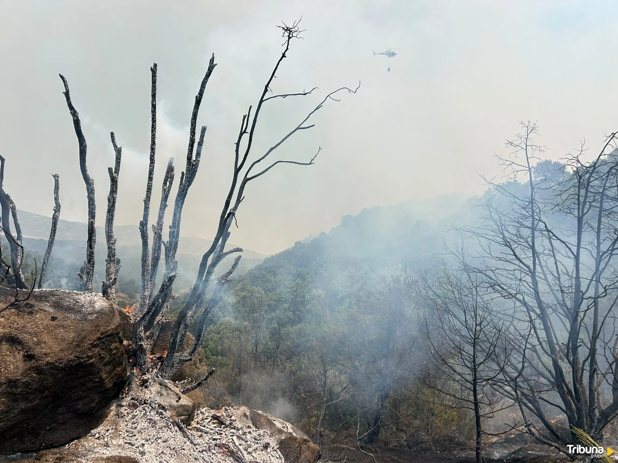Incendio forestal en el Barraco