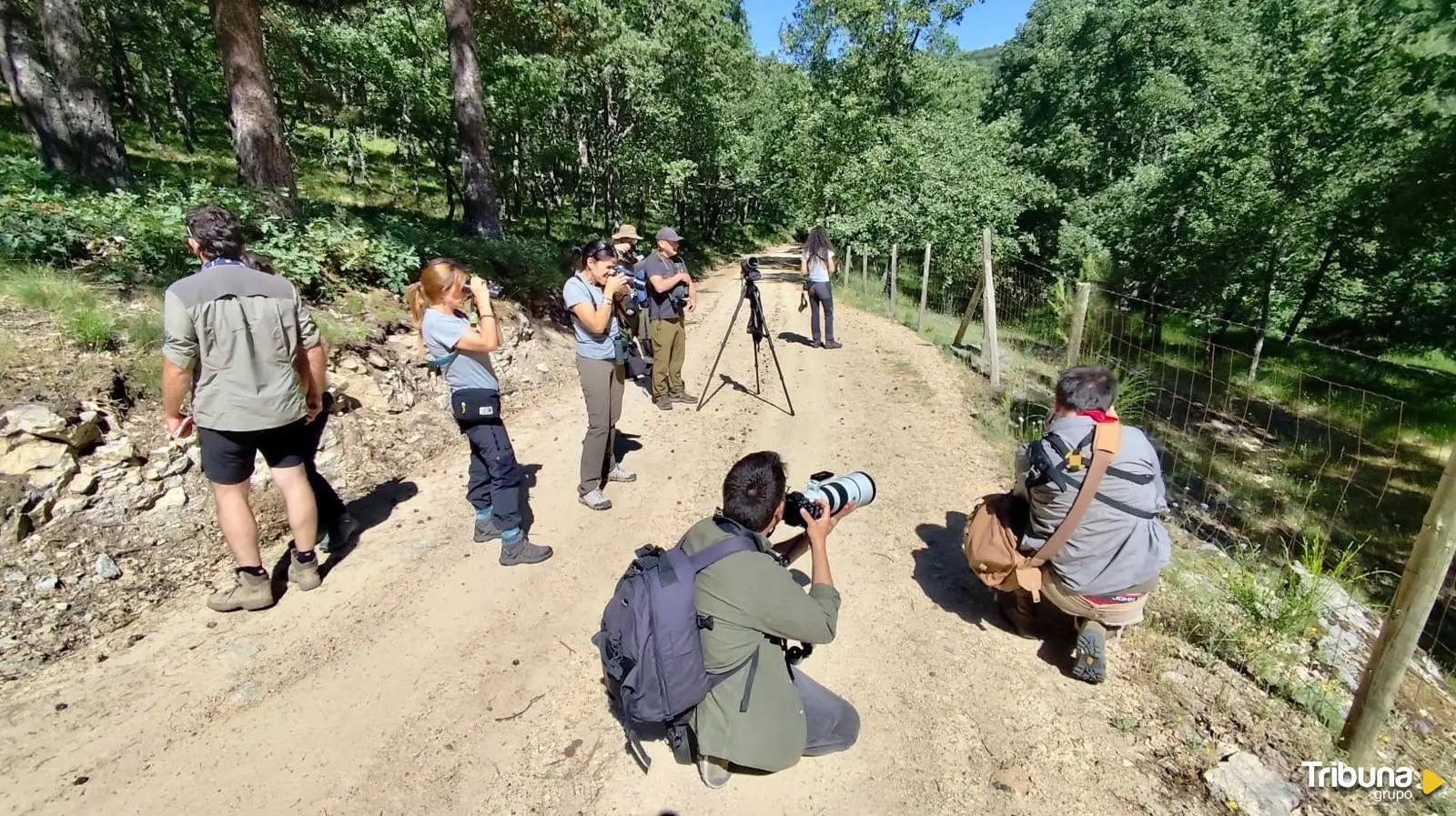 Observación de aves