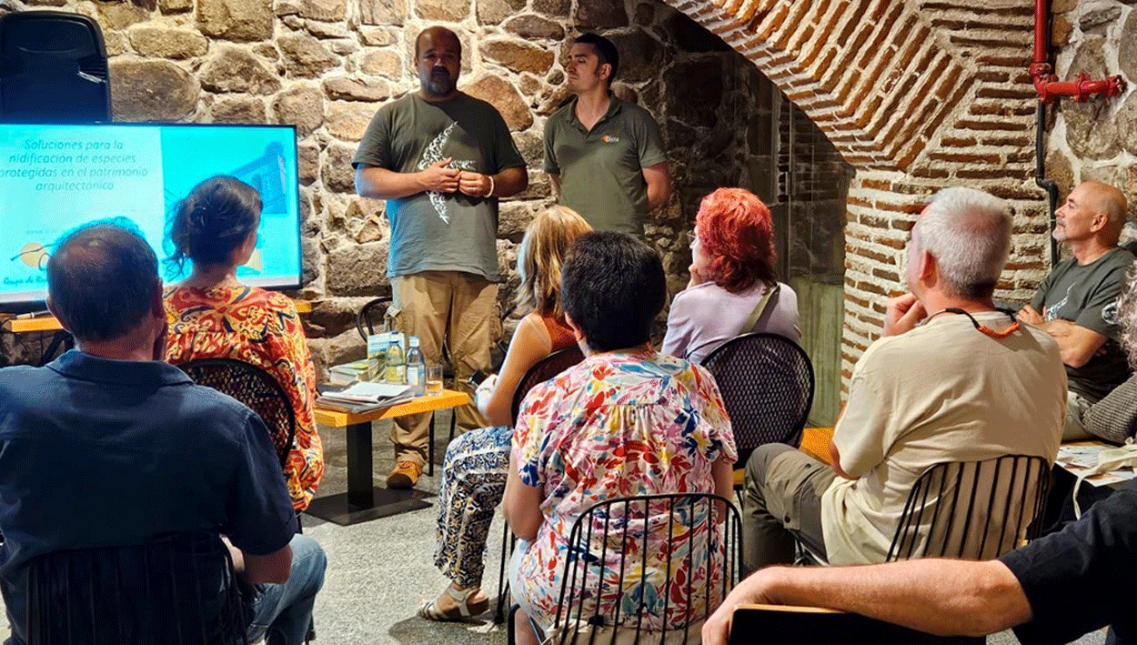 Balance positivo en el cierre del IV edición del Festival de los Vencejos