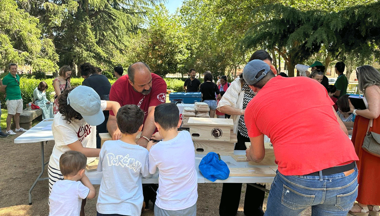 Actividades para toda la familia en el ecuador del Festival de los Vencejos