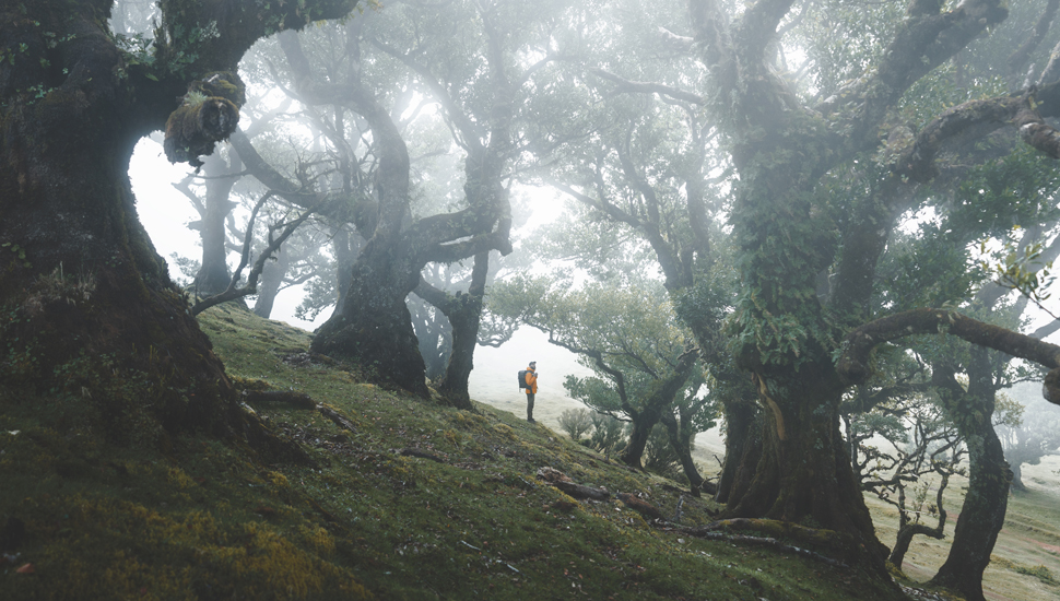 Madeira (foto: Álvaro Valiente)